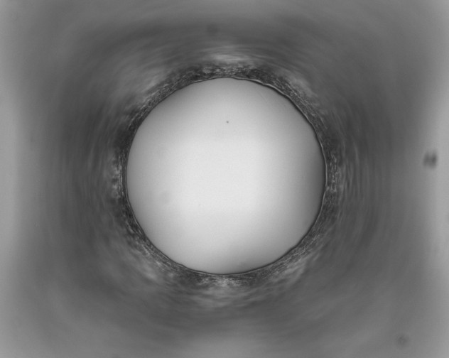 X0000093511109200710261151