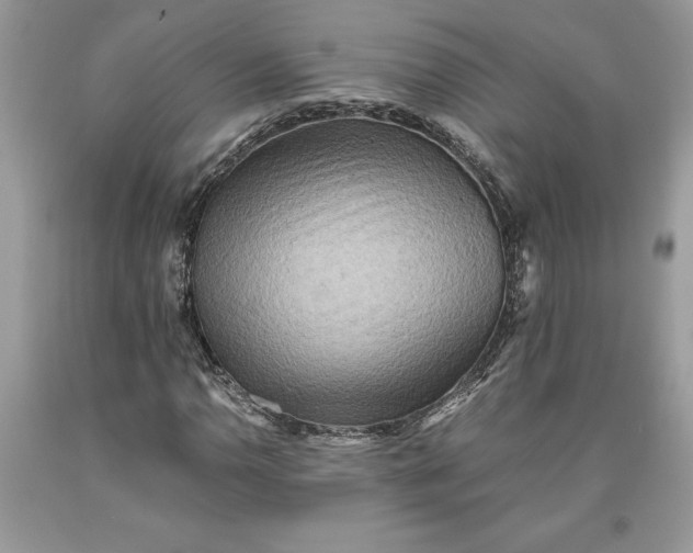 X0000093511110200710261151