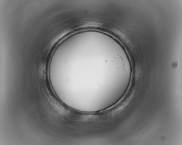 X0000093511113200710261151