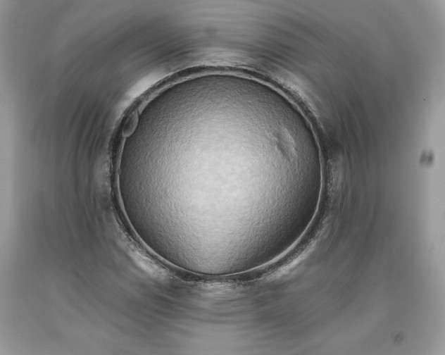X0000093511114200710261151