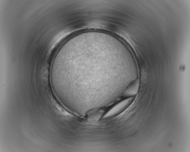 X0000093511115200710261151