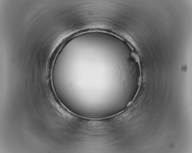 X0000093511116200710261151