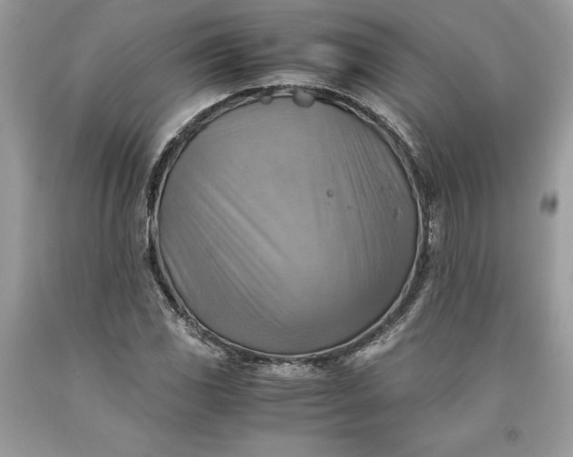 X0000093511117200710261151