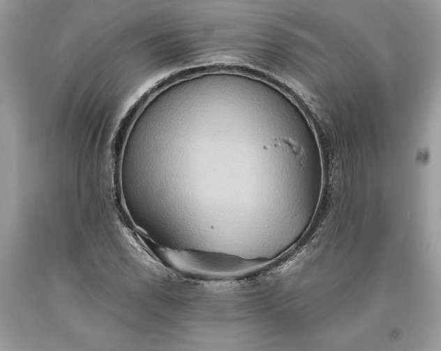 X0000093511118200710261151