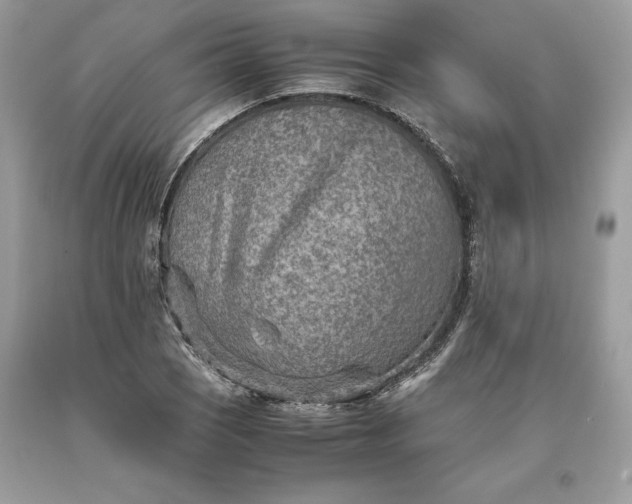 X0000093511121200710261151