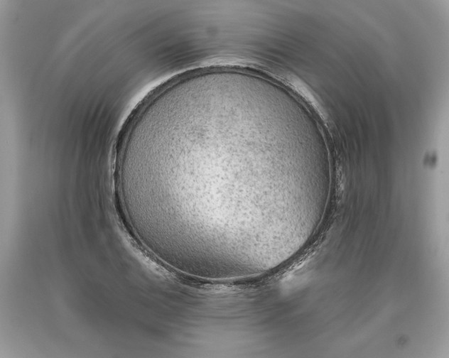 X0000093511124200710261151