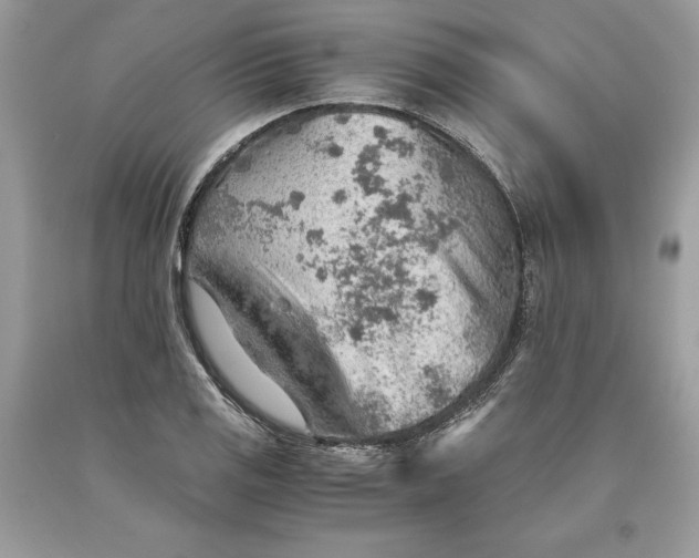 X0000093511125200710261151