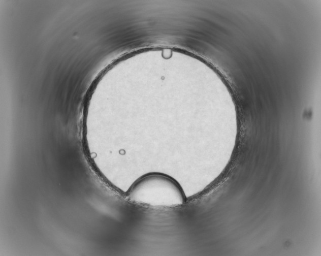 X0000093511126200710261151