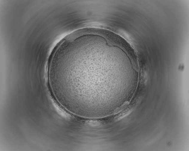 X0000093511128200710261151