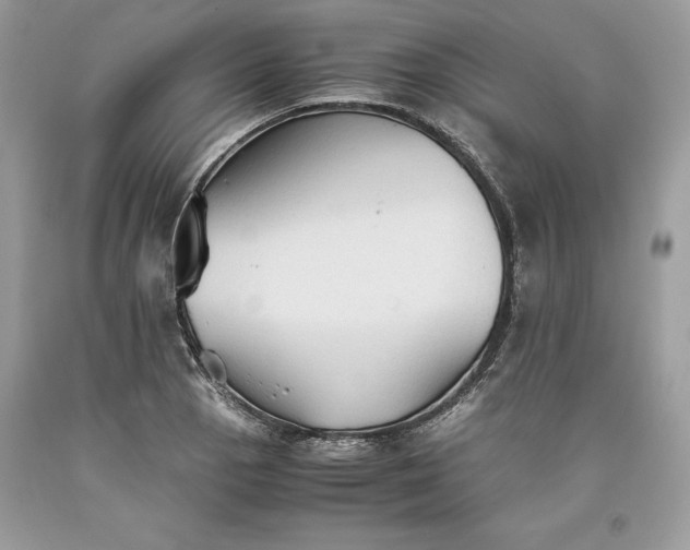 X0000093511129200710261151