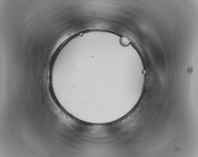 X0000093511130200710261151
