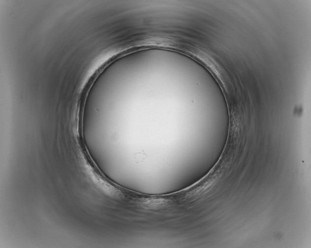 X0000093511131200710261151
