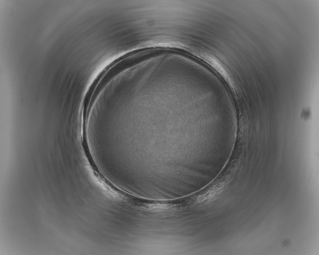 X0000093511132200710261151