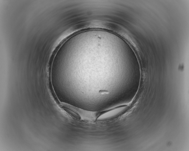 X0000093511133200710261151