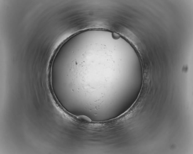 X0000093511135200710261151