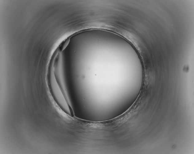 X0000093511136200710261151