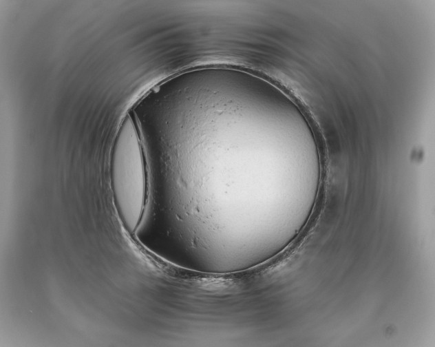 X0000093511137200710261151