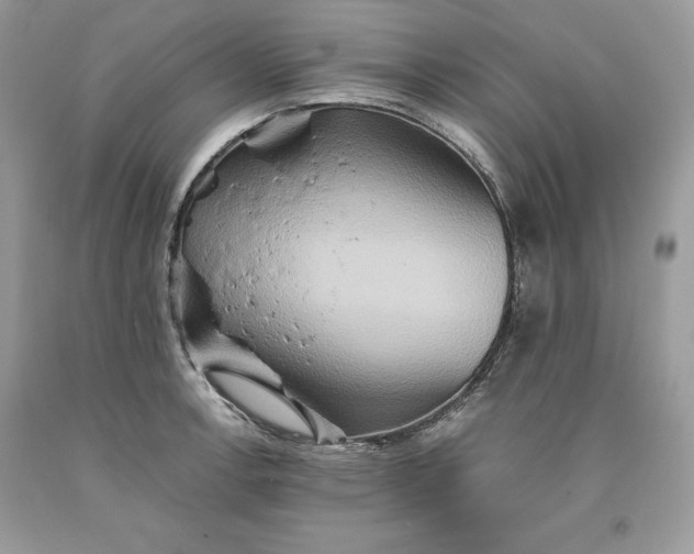 X0000093511138200710261151