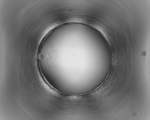 X0000093511139200710261151