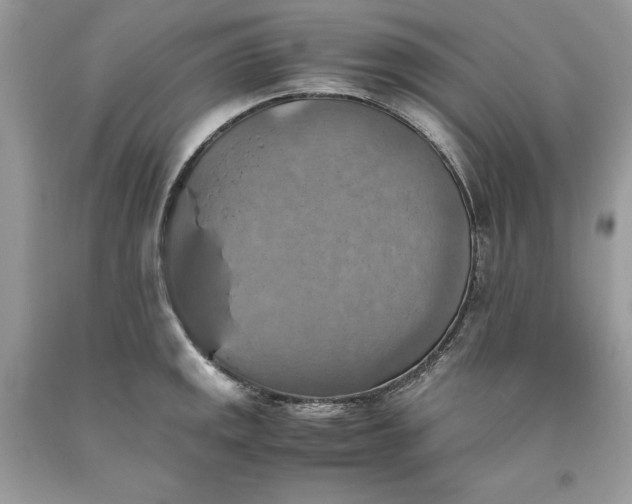 X0000093511141200710261151