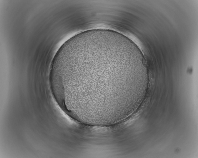 X0000093511142200710261151