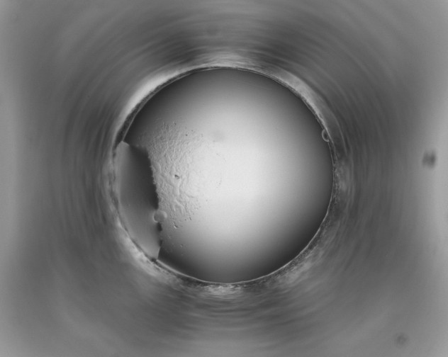 X0000093511147200710261151