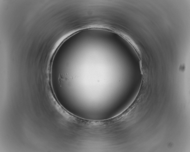 X0000093511148200710261151