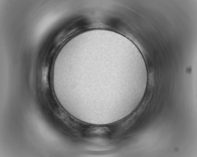 X0000093511150200710261152
