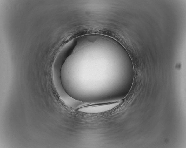 X0000093511153200710261151