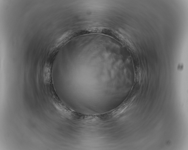 X0000093511154200710261151