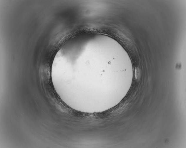 X0000093511155200710261151