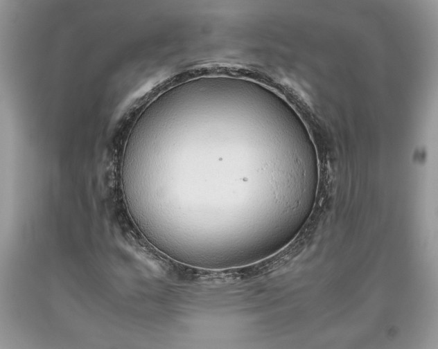 X0000093511159200710261151