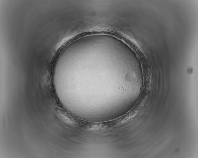 X0000093511160200710261151