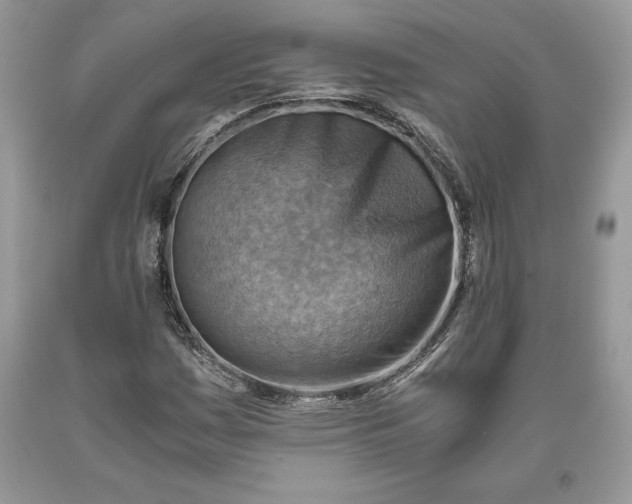 X0000093511161200710261151