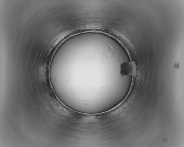 X0000093511162200710261151