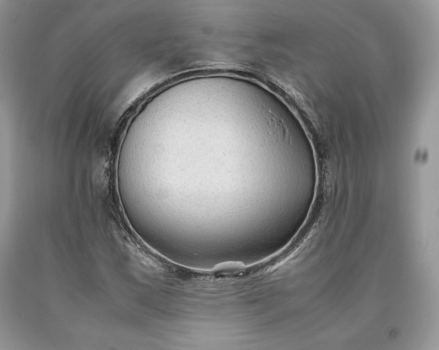 X0000093511163200710261151