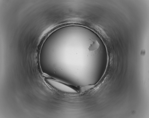 X0000093511164200710261151