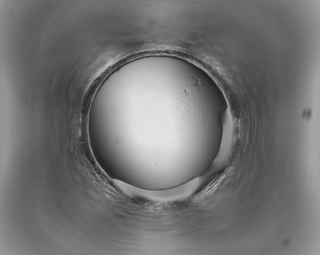 X0000093511165200710261151