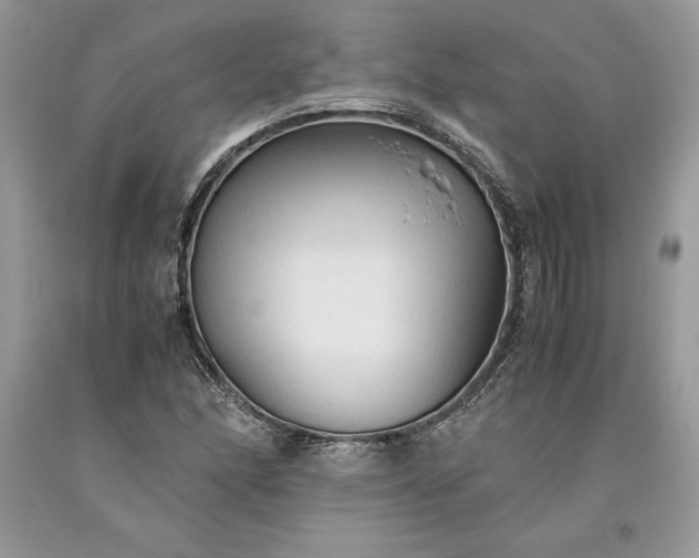 X0000093511166200710261151