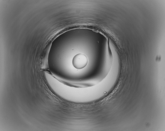 X0000093511169200710261150