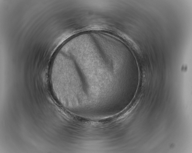X0000093511170200710261150