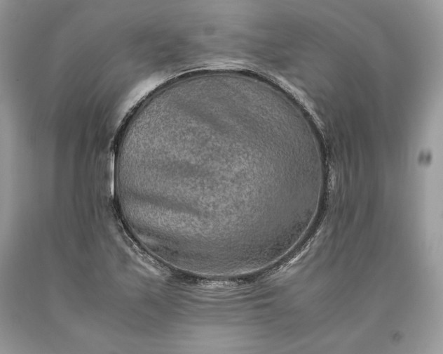 X0000093511171200710261150