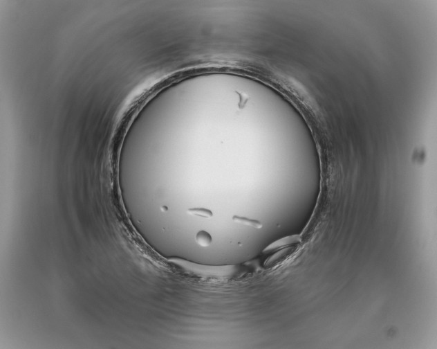 X0000093511172200710261150