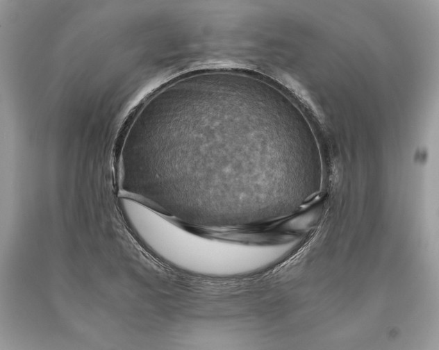 X0000093511173200710261150