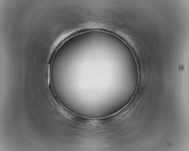 X0000093511175200710261150