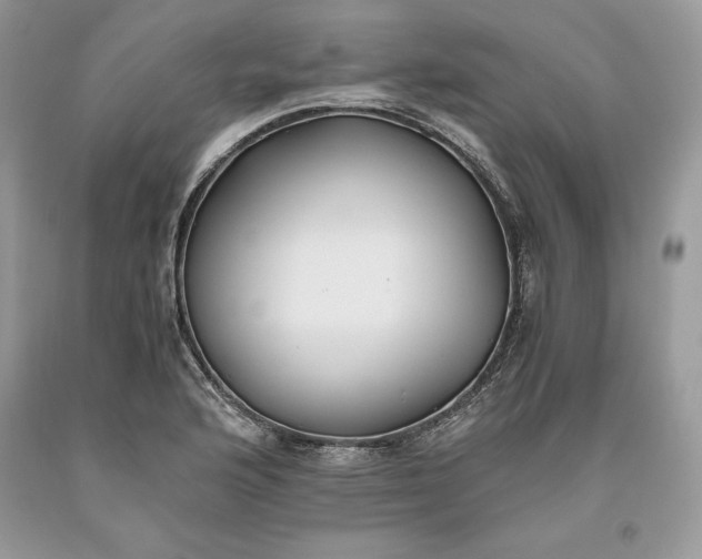 X0000093511176200710261150