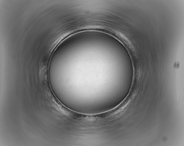 X0000093511177200710261150