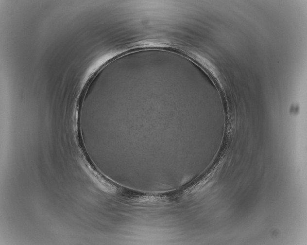 X0000093511179200710261150