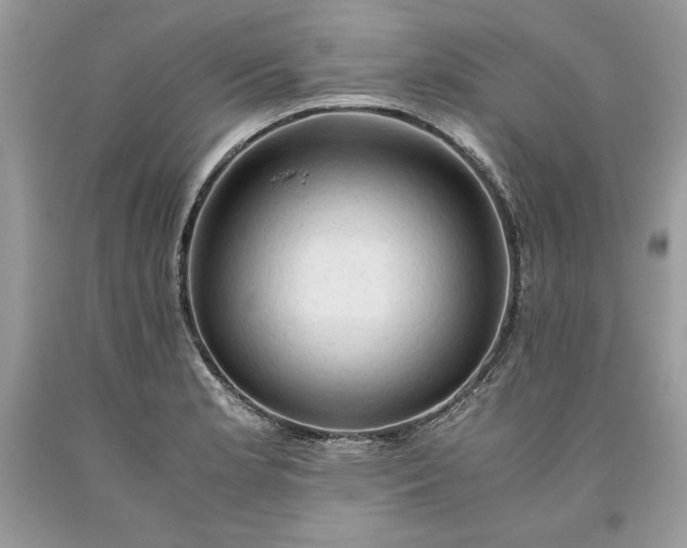 X0000093511181200710261150