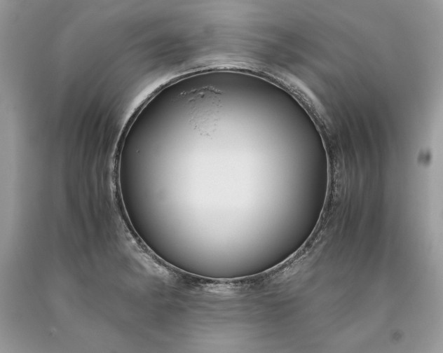 X0000093511182200710261150